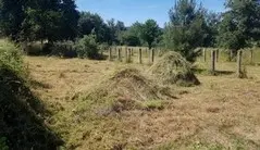 DESBROCE DE FINCAS Limpieza de terrenos