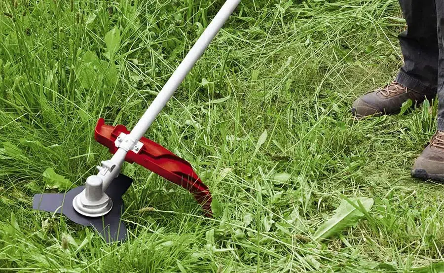 Desbroce y limpieza de parcelas Desbrozamos monte, fincas y parcelas